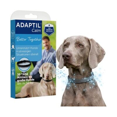 Collier Calmant Adaptil pour Chiens - Phéromones Naturelles Collier Calmant Adaptil pour Chiens - Phéromones Naturelles