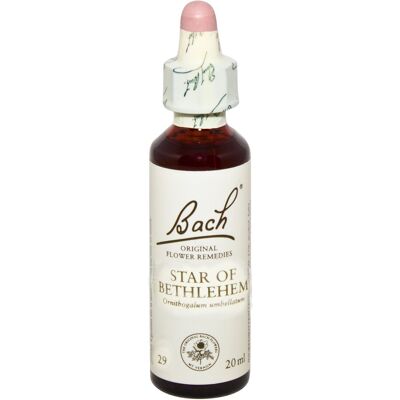 Bach Flower Remedy N.29 Ornithogale 20 ml Bach Flower Remedy N.29 Ornithogale 20 ml