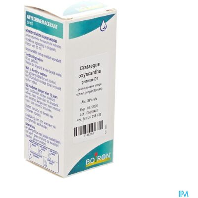 Crataegus Oxyacantha Gemmo D1 60 Ml Boiron Crataegus Oxyacantha Gemmo D1 60 Ml Boiron
