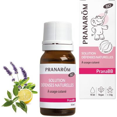 PRANAROM - Pranabb Solution Defenses Naturelles Huile De Massage 10 ml PRANAROM - Pranabb Solution Defenses Naturelles Huile De Massage 10 ml