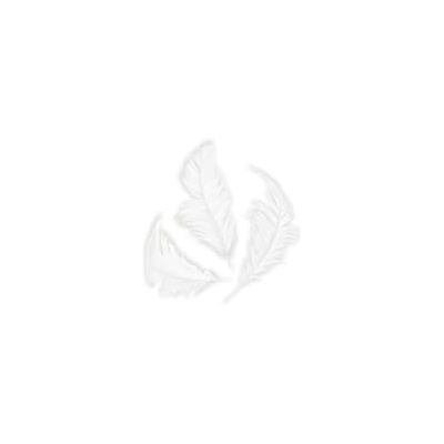 INNSPIRO Plume blanche 75 mm, 14 g. INNSPIRO Plume blanche 75 mm, 14 g.