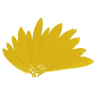 INNSPIRO Plumes indiennes jaunes env. 25 x 140 mm. 60u. INNSPIRO Plumes indiennes jaunes env. 25 x 140 mm. 60u.