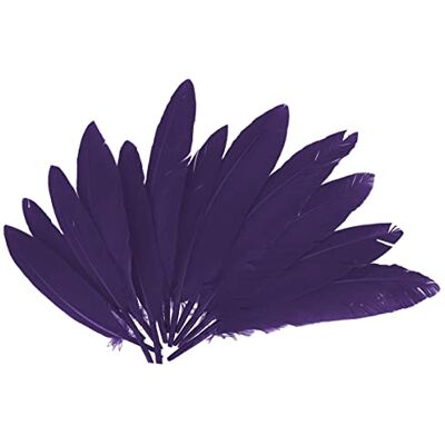 INNSPIRO Plumes indiennes lilas env. 25 x 140 mm. 60u. INNSPIRO Plumes indiennes lilas env. 25 x 140 mm. 60u.