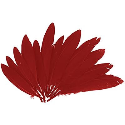 INNSPIRO 97335 – Plumes indiennes rouges env. 25 mm x 140 m, 60 u INNSPIRO 97335 – Plumes indiennes rouges env. 25 mm x 140 m, 60 u