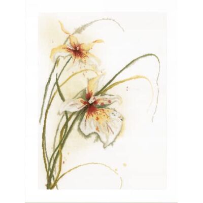 Lanarte Kit de broderie 50 x 60 cm 50 x 60 cm 100% lin écru 12 points par cm Lanarte Kit de broderie 50 x 60 cm 50 x 60 cm 100% lin écru 12 points par cm