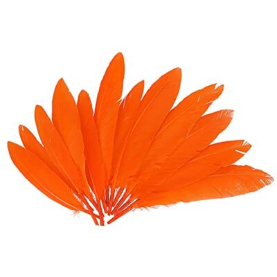 INNSPIRO Plumes indiennes orange env. 25 x 140 mm. 60u. INNSPIRO Plumes indiennes orange env. 25 x 140 mm. 60u.