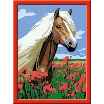 Ravensburger CreArt 28652 Haflinger Peinture par numéros Cheval pour enfants à partir de 7 ans Kit de peinture avec cadre, pinceaux et peintures acryliques Cadeau pour filles et garçons avec Ravensburger CreArt 28652 Haflinger Peinture par numéros Cheval pour enfants à partir de 7 ans Kit de peinture avec cadre, pinceaux et peintures acryliques Cadeau pour filles et garçons avec