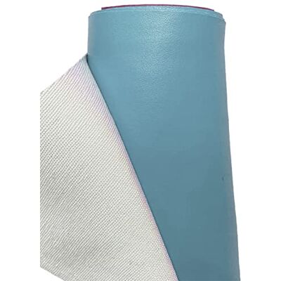 A-Express Tissu en similicuir vinyle imperméable pour vêtements et tapisseries Bleu ciel 1 m 100 cm x 140 cm A-Express Tissu en similicuir vinyle imperméable pour vêtements et tapisseries Bleu ciel 1 m 100 cm x 140 cm