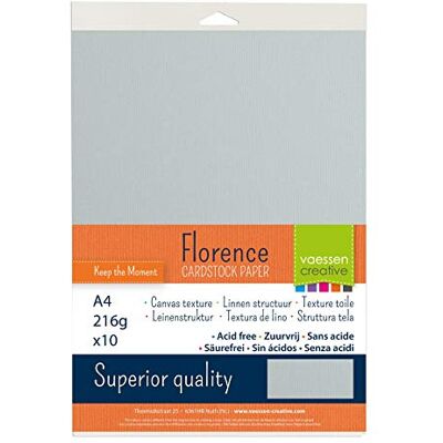 Creative Florence 2928-043A4 Lot de 10 feuilles de papier cartonné Gris clair Format A4 216 g/m² Pour scrapbooking, fabrication de cartes, estampage et autres créations en papier Creative Florence 2928-043A4 Lot de 10 feuilles de papier cartonné Gris clair Format A4 216 g/m² Pour scrapbooking, fabrication de cartes, estampage et autres créations en papier