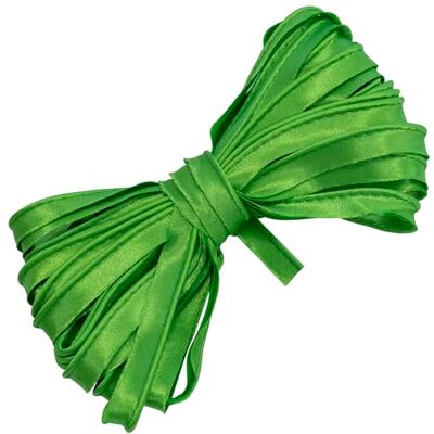 AERZETIX C77263 Ruban bordeur 9 mètres x 10mm polyester couleur verte passepoil gallon vêtements oreillers couettes AERZETIX C77263 Ruban bordeur 9 mètres x 10mm polyester couleur verte passepoil gallon vêtements oreillers couettes