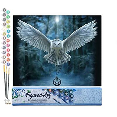 Peinture par Numéro Adulte Chouette porteuse de Croix Activité Manuelle Kit de Loisir Créatif DIY Numéro d'art Complet 40x50cm sans châssis en Bois Peinture par Numéro Adulte Chouette porteuse de Croix Activité Manuelle Kit de Loisir Créatif DIY Numéro d'art Complet 40x50cm sans châssis en Bois