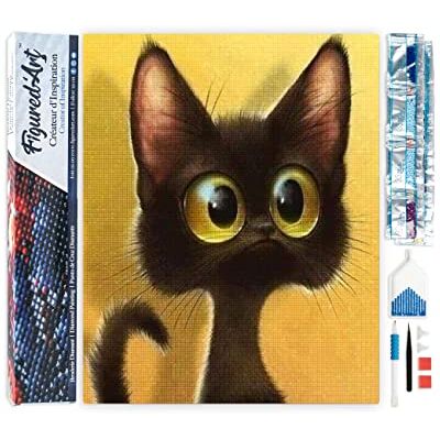 Figured’Art Diamond Painting Broderie Diamant 40x50cm Toile Entière Roulée avec Strass Perles Carrés Chat étonné Kit Complet Animaux 5D DIY Activité Manuelle Loisirs Créatifs Adultes Figured’Art Diamond Painting Broderie Diamant 40x50cm Toile Entière Roulée avec Strass Perles Carrés Chat étonné Kit Complet Animaux 5D DIY Activité Manuelle Loisirs Créatifs Adultes