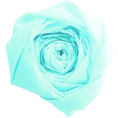 Clairefontaine 903025C Paquet de 10 Feuilles de Papier Crépon Couleur Bleu Turquoise Format 2,50x0,50m Crêpage 60% Élastique et Résistant Loisirs Créatifs, Bricolage et Activités Manuelles Clairefontaine 903025C Paquet de 10 Feuilles de Papier Crépon Couleur Bleu Turquoise Format 2,50x0,50m Crêpage 60% Élastique et Résistant Loisirs Créatifs, Bricolage et Activités Manuelles