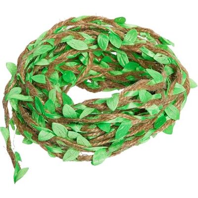 Baker Ross WA170 Ficelle de jute verte à feuilles 10 m Par paquet, ficelle décorative à feuilles pour loisirs créatifs et emballage de cadeaux Baker Ross WA170 Ficelle de jute verte à feuilles 10 m Par paquet, ficelle décorative à feuilles pour loisirs créatifs et emballage de cadeaux