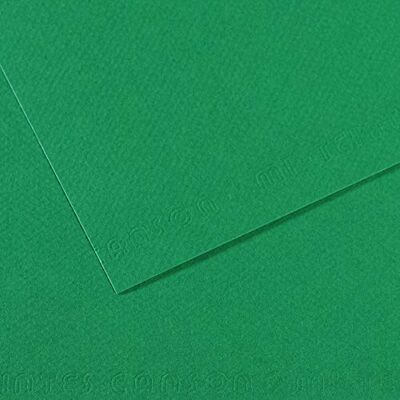 Canson Papier MI-Teintes (Nid-d'abeilles) 10 Feuilles A3 160g/m² Vert Billard 575 Canson Papier MI-Teintes (Nid-d'abeilles) 10 Feuilles A3 160g/m² Vert Billard 575