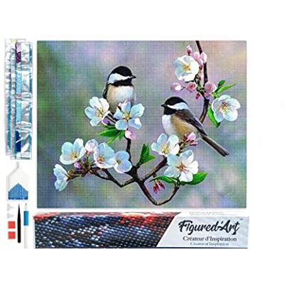 Figured’Art Diamond Painting Broderie Diamant 40x50cm Toile Entière Roulée avec Strass Perles Carrés Petits Oiseaux et Fleurs Blanches Kit Complet Animaux 5D DIY Activité Manuelle Loisirs Créatifs Figured’Art Diamond Painting Broderie Diamant 40x50cm Toile Entière Roulée avec Strass Perles Carrés Petits Oiseaux et Fleurs Blanches Kit Complet Animaux 5D DIY Activité Manuelle Loisirs Créatifs