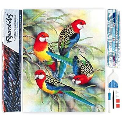 Figured’Art Diamond Painting Broderie Diamant 40x50cm Toile Entière Roulée avec Strass Perles Carrés Les Perroquets sur Branche Kit Complet Animaux 5D DIY Activité Manuelle Loisirs Créatifs Figured’Art Diamond Painting Broderie Diamant 40x50cm Toile Entière Roulée avec Strass Perles Carrés Les Perroquets sur Branche Kit Complet Animaux 5D DIY Activité Manuelle Loisirs Créatifs