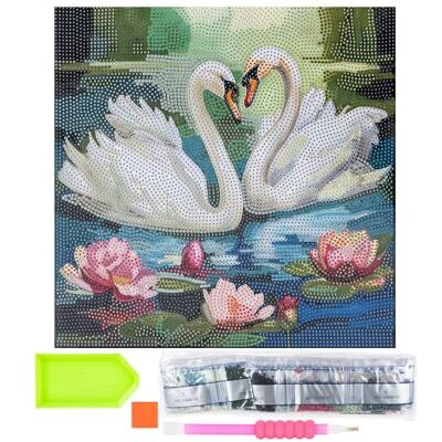 Ideen mit Herz Diamond Painting Toile à motif sur châssis 30 cm x 30 cm avec outils (cygnes) Ideen mit Herz Diamond Painting Toile à motif sur châssis 30 cm x 30 cm avec outils (cygnes)