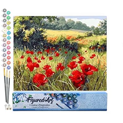 Peinture par Numéro Adulte Coquelicots champêtres Activité Manuelle Kit de Loisir Créatif DIY Numéro d'Art Complet 40x50cm sans châssis en bois Peinture par Numéro Adulte Coquelicots champêtres Activité Manuelle Kit de Loisir Créatif DIY Numéro d'Art Complet 40x50cm sans châssis en bois