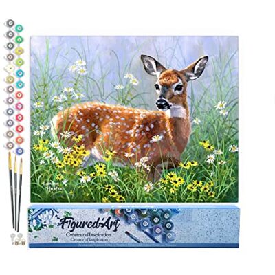 Peinture par Numéro Adulte Biche dans la prairie Activité Manuelle Kit de Loisir Créatif DIY Numéro d'Art Complet 40x50cm sans châssis en bois Peinture par Numéro Adulte Biche dans la prairie Activité Manuelle Kit de Loisir Créatif DIY Numéro d'Art Complet 40x50cm sans châssis en bois