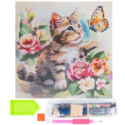 Ideen mit Herz Diamond Painting Toile à motif sur châssis 30 cm x 30 cm Kit d'outils inclus (chat avec papillon) Ideen mit Herz Diamond Painting Toile à motif sur châssis 30 cm x 30 cm Kit d'outils inclus (chat avec papillon)