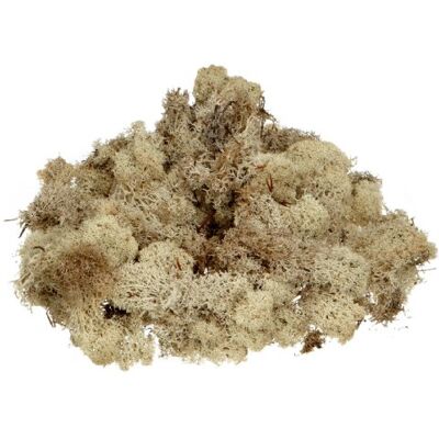 Knorr Prandell - Islandmoos natur clair - 250 g - Moss Knorr Prandell - Islandmoos natur clair - 250 g - Moss
