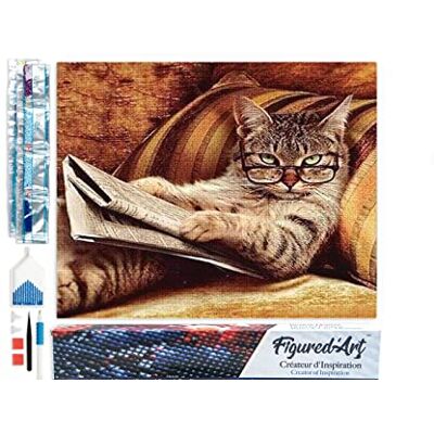 Figured’Art Diamond Painting Broderie Diamant 40x50cm Toile Entière Roulée avec Strass Perles Carrés Le Chat connaisseur Kit Complet Animaux 5D DIY Activité Manuelle Loisirs Créatifs Adultes Figured’Art Diamond Painting Broderie Diamant 40x50cm Toile Entière Roulée avec Strass Perles Carrés Le Chat connaisseur Kit Complet Animaux 5D DIY Activité Manuelle Loisirs Créatifs Adultes