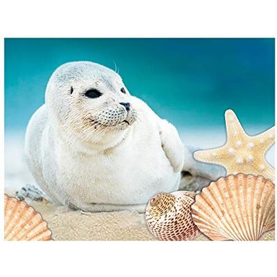 Ideen mit Herz Peinture diamant 5D Kit de peinture diamant 35 x 25 cm Toile à motif Pierres rondes Accessoires Différentes images au choix (phoque de mer) Ideen mit Herz Peinture diamant 5D Kit de peinture diamant 35 x 25 cm Toile à motif Pierres rondes Accessoires Différentes images au choix (phoque de mer)