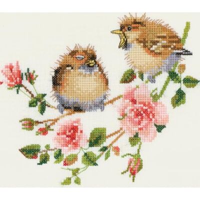 Heritage Crafts Heritage VPRO778-A Kit de broderie au point de croix Aïda Motif chat de cuisine Rose 15 x 13,5 cm Heritage Crafts Heritage VPRO778-A Kit de broderie au point de croix Aïda Motif chat de cuisine Rose 15 x 13,5 cm