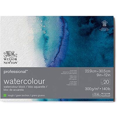 Winsor & Newton 6664010 Lot de 20 feuilles de papier aquarelle professionnel 22,9 x 30,5 cm, 300 g/m², grain grossier, papier blanc naturel clair de qualité archivable, résistant au jaunissement Winsor & Newton 6664010 Lot de 20 feuilles de papier aquarelle professionnel 22,9 x 30,5 cm, 300 g/m², grain grossier, papier blanc naturel clair de qualité archivable, résistant au jaunissement