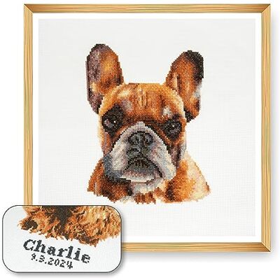 Trimits Grand kit de point de croix personnalisé pour adultes débutants, décoration murale pour amoureux des animaux, propriétaires de chiens,11 points,36 x 36 cm, bouledogue français cadre non inclus Trimits Grand kit de point de croix personnalisé pour adultes débutants, décoration murale pour amoureux des animaux, propriétaires de chiens,11 points,36 x 36 cm, bouledogue français cadre non inclus