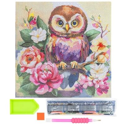 Ideen mit Herz Diamond Painting Toile sur châssis 30x30 cm Kit d'outils inclus (chouette avec fleurs) Ideen mit Herz Diamond Painting Toile sur châssis 30x30 cm Kit d'outils inclus (chouette avec fleurs)