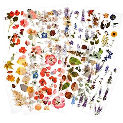 Mayplous 10 feuilles Autocollant de transfert à frotter Autocollants Scrapbook Autocollants de fleur Autocollant de plante de décoration pour Diary Album Journals DIY Arts and Crafts (Garden) Mayplous 10 feuilles Autocollant de transfert à frotter Autocollants Scrapbook Autocollants de fleur Autocollant de plante de décoration pour Diary Album Journals DIY Arts and Crafts (Garden)