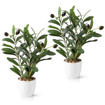 PASCH Lot de 2 oliviers artificiels (26 cm) dans des pots en céramique blanche : plantes comme de vraies plantes en pot Faux arbre d'olivier Fleurs artificielles PASCH Lot de 2 oliviers artificiels (26 cm) dans des pots en céramique blanche : plantes comme de vraies plantes en pot Faux arbre d'olivier Fleurs artificielles
