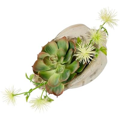 Flair Flower Arrangement artificiel plantes succulentes agave aloe vera yucca sanseveria plante cactus mousse artificielle cactus plante verte plante d'intérieur plante de table plante artificielle en Flair Flower Arrangement artificiel plantes succulentes agave aloe vera yucca sanseveria plante cactus mousse artificielle cactus plante verte plante d'intérieur plante de table plante artificielle en