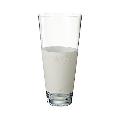 J-Line Vase Delph Verre Transparent/Blanc Moyen Vase à fleurs 45 cm de haut J-Line Vase Delph Verre Transparent/Blanc Moyen Vase à fleurs 45 cm de haut