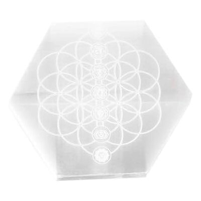 NKlaus Plaque de sélénite avec gravure chakra hexagonale 10 x 9 cm Fleur de vie ; pour la méditation et l'énergie cristalline ; pierre d'autel NKlaus Plaque de sélénite avec gravure chakra hexagonale 10 x 9 cm Fleur de vie ; pour la méditation et l'énergie cristalline ; pierre d'autel