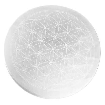 NKlaus Plaque de charge sélénite fleur de vie pour pierres de guérison 14,5 cm 1 pièce NKlaus Plaque de charge sélénite fleur de vie pour pierres de guérison 14,5 cm 1 pièce