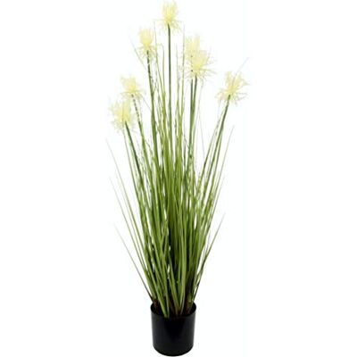 I.GE.A. Proteagras Plantes d'herbe artificielle - plantes d'herbe artificielle I.GE.A. Proteagras Plantes d'herbe artificielle - plantes d'herbe artificielle
