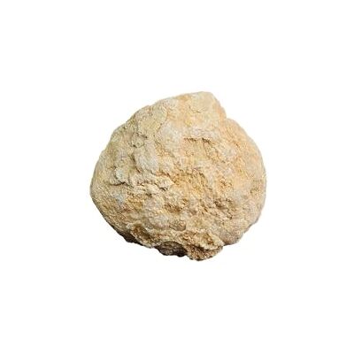 NKlaus Pierre précieuse calcite géode naturelle pour méditation 7 x 7 cm 1 pièce NKlaus Pierre précieuse calcite géode naturelle pour méditation 7 x 7 cm 1 pièce