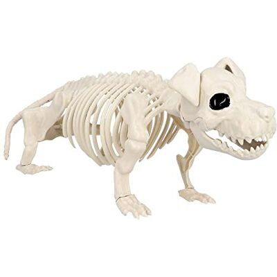 Boland 72416 Squelette pour chien Taille 52 cm Bouche mobile Chien Chien Attrapette en plastique Décoration pour Halloween, carnaval ou fête à thème Boland 72416 Squelette pour chien Taille 52 cm Bouche mobile Chien Chien Attrapette en plastique Décoration pour Halloween, carnaval ou fête à thème
