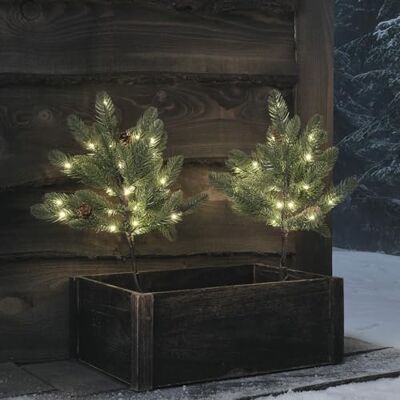 Lights4fun Lot de 2 Sapins de Noël à Pommes de Pin de 18 cm sur Piquet avec 50 LED Blanc Chaud à Piles avec Minuterie Décoration de Noël pour Extérieur Lights4fun Lot de 2 Sapins de Noël à Pommes de Pin de 18 cm sur Piquet avec 50 LED Blanc Chaud à Piles avec Minuterie Décoration de Noël pour Extérieur