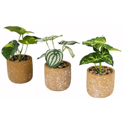 levandeo Lot de 3 plantes artificielles vertes Hauteur : 18 cm En terre cuite Pot décoratif pour chambre Plantes de table en pot Plante verte levandeo Lot de 3 plantes artificielles vertes Hauteur : 18 cm En terre cuite Pot décoratif pour chambre Plantes de table en pot Plante verte