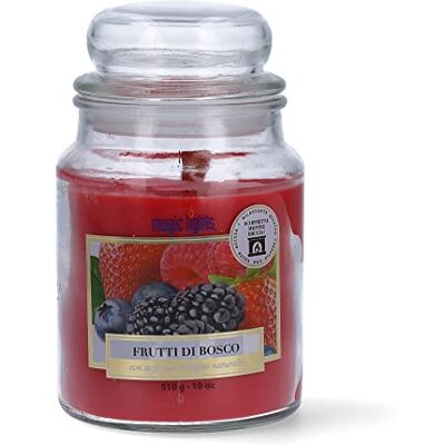 AB ALESSIO BOLTRI - Bougie en pot 510 g fruits rouges - Candle AB ALESSIO BOLTRI - Bougie en pot 510 g fruits rouges - Candle