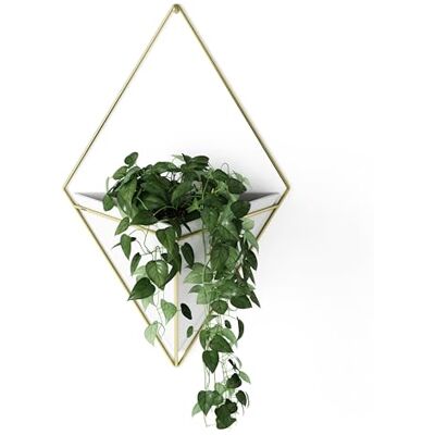 Umbra Trigg Vase à suspendre et décoration murale géométrique en céramique – Idéal pour les plantes succulentes, les plantes aériennes, les mini cactus, les plantes artificielles et plus encore, grand, blanc/laiton Umbra Trigg Vase à suspendre et décoration murale géométrique en céramique – Idéal pour les plantes succulentes, les plantes aériennes, les mini cactus, les plantes artificielles et plus encore, grand, blanc/laiton