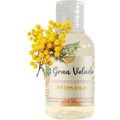 GRAN VELADA Essence aromatique de Mimosa : intense et enveloppez-vous dans la sensualité de cette essence florale pour parfums, bougies, gels et plus encore. Concentrée et élégante 1 litre par commande. GRAN VELADA Essence aromatique de Mimosa : intense et enveloppez-vous dans la sensualité de cette essence florale pour parfums, bougies, gels et plus encore. Concentrée et élégante 1 litre par commande.
