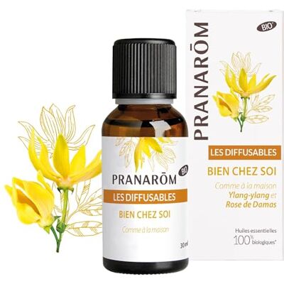 Pranarôm Les Diffusables Bien Chez Soi Mélange Huiles Essentielles pour Diffuseur Cocooning Ylang-Ylang Et Rose de Damas Bio (Eco) 30 ml Pranarôm Les Diffusables Bien Chez Soi Mélange Huiles Essentielles pour Diffuseur Cocooning Ylang-Ylang Et Rose de Damas Bio (Eco) 30 ml