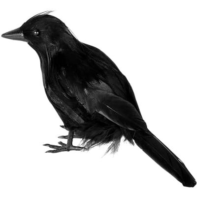 JOYIN Corbeau d'Halloween en plumes de corbeau de 17,8 cm, accessoire noir pour décoration d'Halloween pour maison hantée, cimetière, cour, table de fête JOYIN Corbeau d'Halloween en plumes de corbeau de 17,8 cm, accessoire noir pour décoration d'Halloween pour maison hantée, cimetière, cour, table de fête