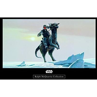 Komar WTD Mantiburi Star Wars Classic RMQ Hoth Tauntaun Tableau mural décoratif pour chambre d'enfant Motif Star Wars WB149-40 x 30 cm Largeur 40 x Hauteur 30 cm Komar WTD Mantiburi Star Wars Classic RMQ Hoth Tauntaun Tableau mural décoratif pour chambre d'enfant Motif Star Wars WB149-40 x 30 cm Largeur 40 x Hauteur 30 cm