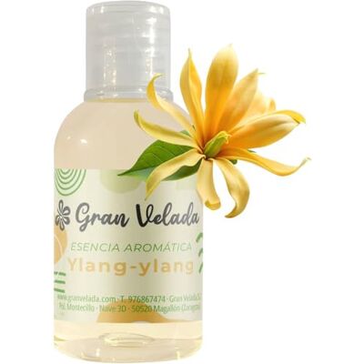 GRAN VELADA Essence aromatique Ylang Ylang Parfume vos produits avec des notes florales exotiques Pour cosmétiques et bougies Dosage jusqu'à 30 % GRAN VELADA Essence aromatique Ylang Ylang Parfume vos produits avec des notes florales exotiques Pour cosmétiques et bougies Dosage jusqu'à 30 %